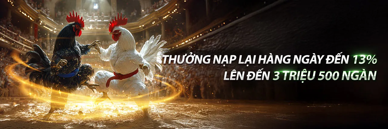 Hình ảnh banner Điều Khoản Dịch Vụ rr8