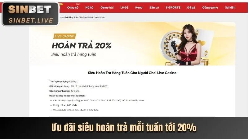 Hoàn Trả Casino Trực Tuyến RR8